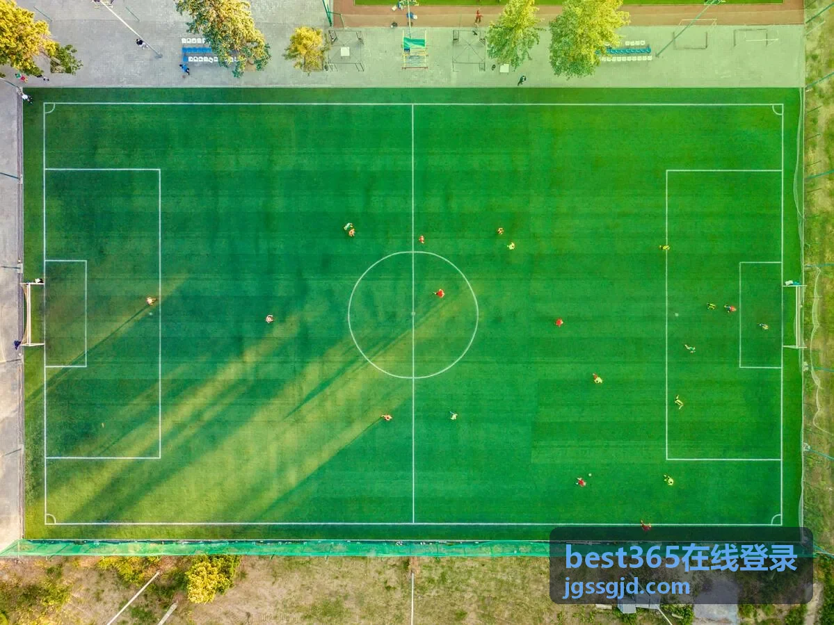 best365在线登录密码找回操作流程示意